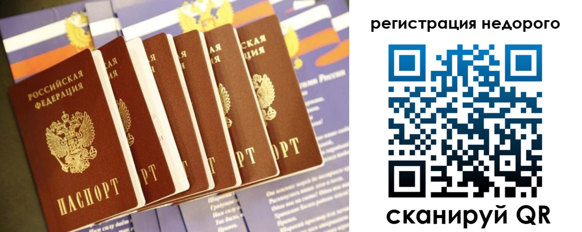 прописка гарантия в Строителе